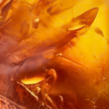 Amber